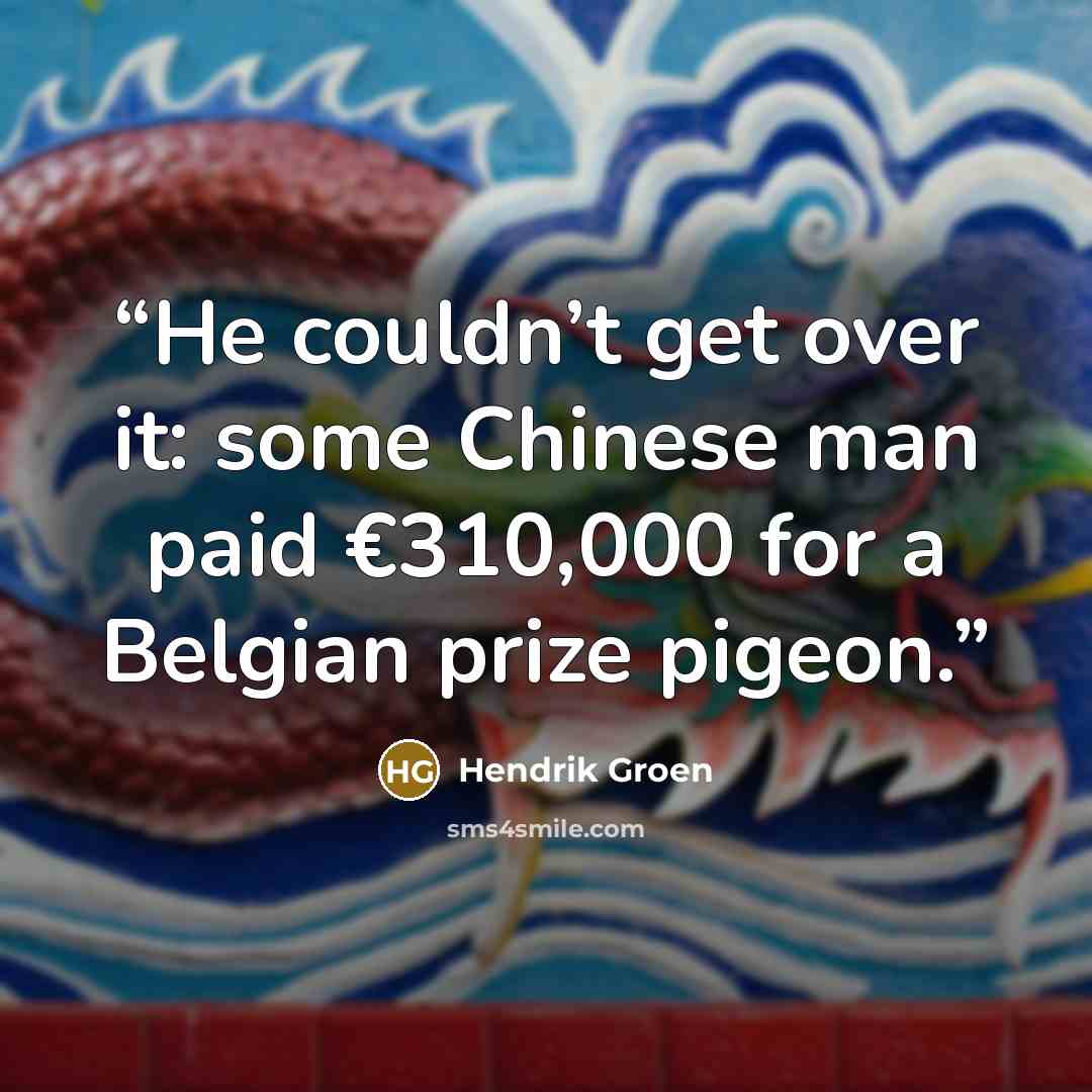 “He couldn’t get over it: some Chinese man paid €310,000 for a Belgian prize pigeon.” quote by Hendrik Groen
