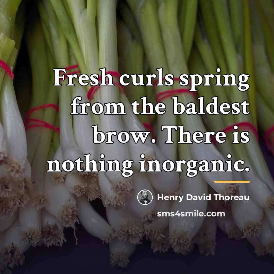 “Fresh curls spring from the baldest brow. There is nothing…” quote by Henry David Thoreau