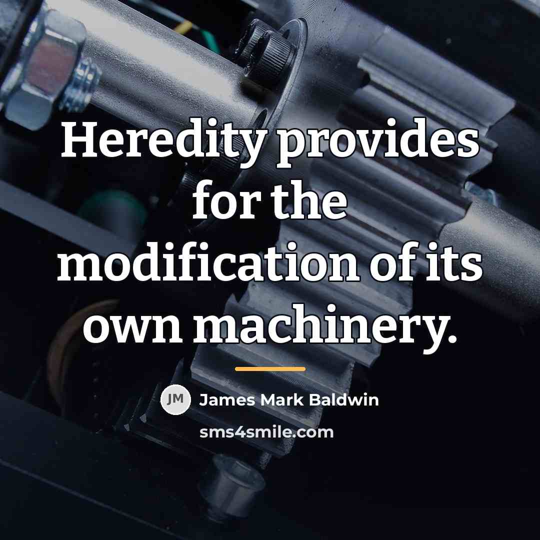 “Heredity provides for the modification of its own machinery.…” quote by James Mark Baldwin