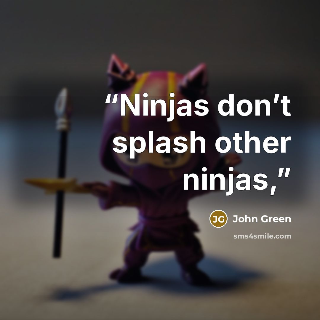 “Ninjas don’t splash other ninjas,” quote by John Green