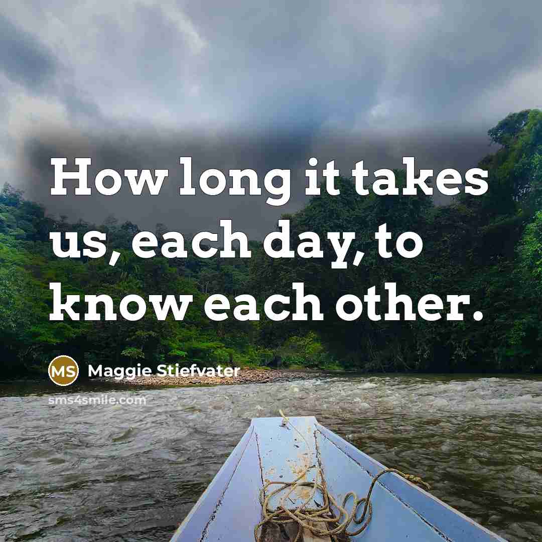 “How long it takes us, each day, to know each…” quote by Maggie Stiefvater