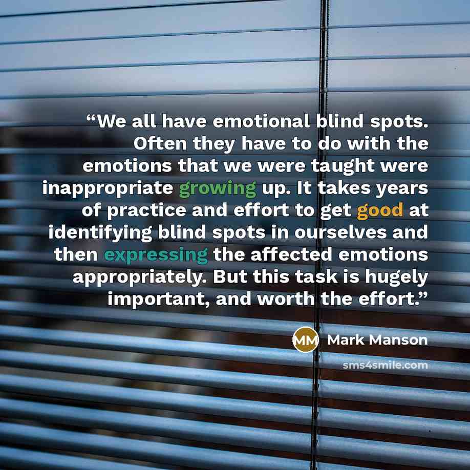 “We all have emotional blind spots. Often they have to do with the emotions that we were taught were inappropriate growing up. It takes years of practice and effort to get good at identifying blind spots in ourselves and then expressing the affected emotions appropriately. But this task is hugely…” quote by Mark Manson