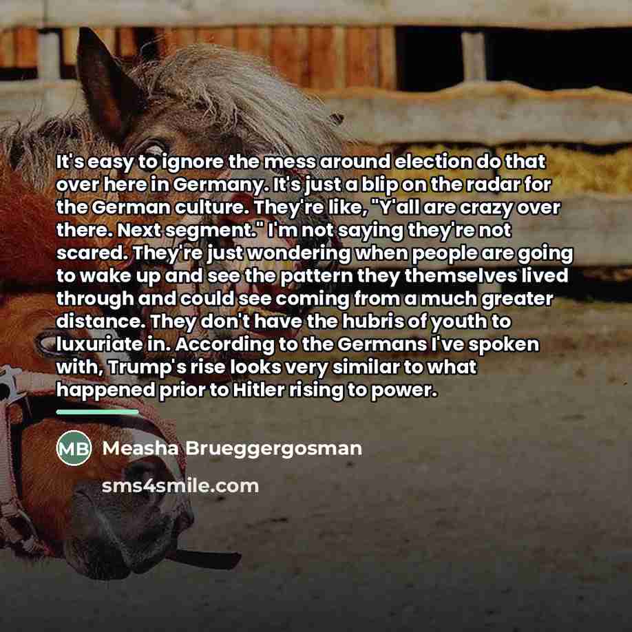 “It's easy to ignore the mess around election do that…” quote by Measha Brueggergosman