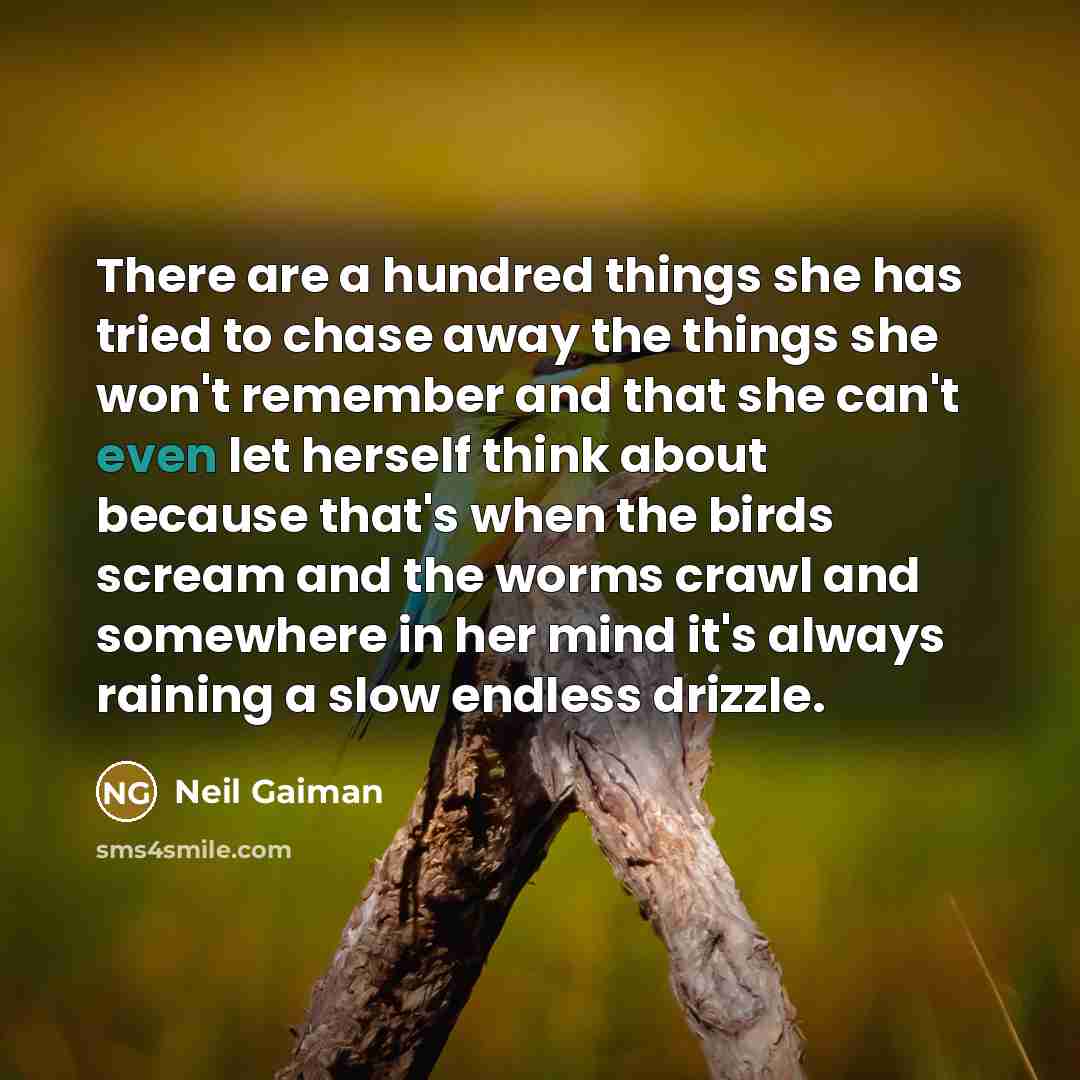 “There are a hundred things she has tried to chase…” quote by Neil Gaiman