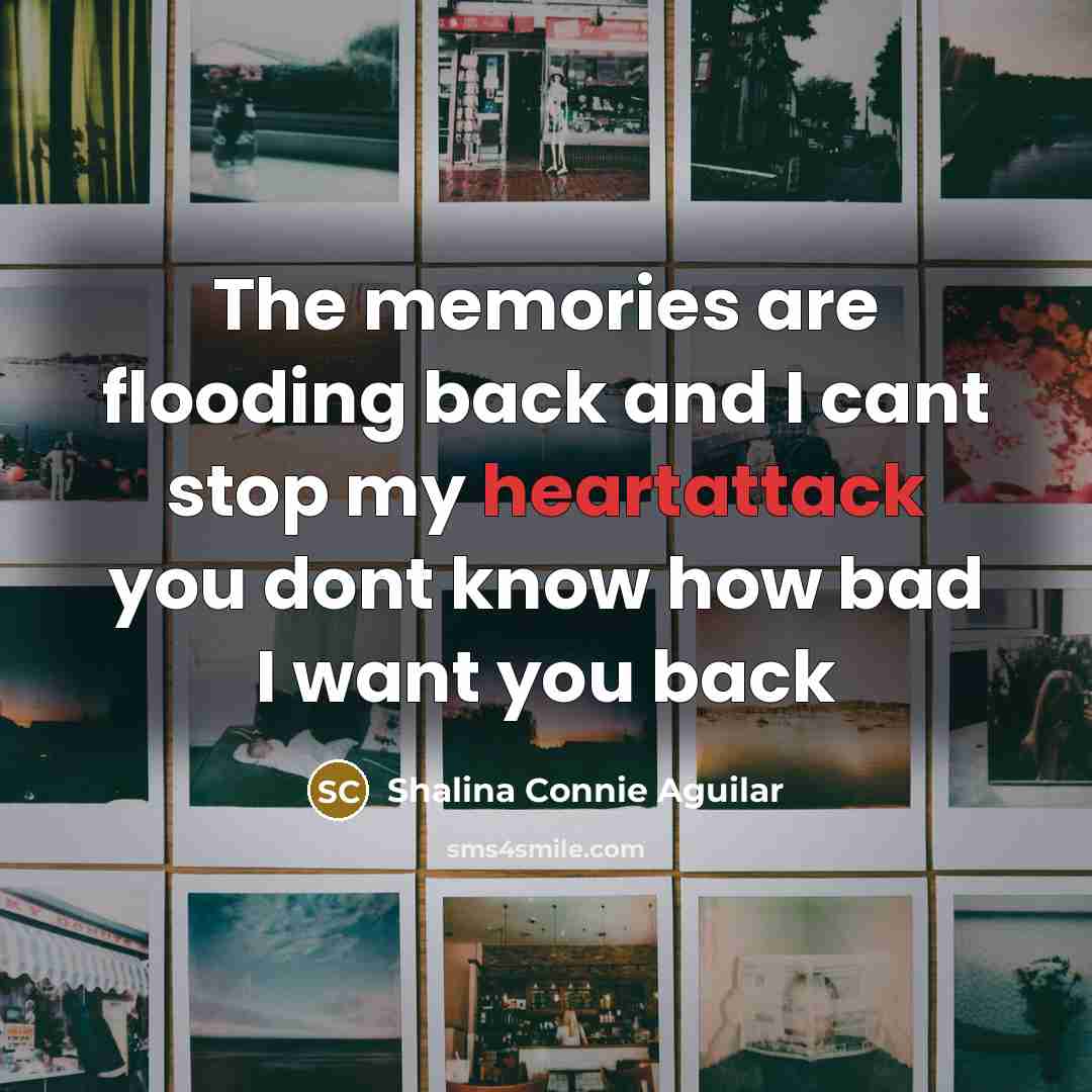 “The memories are flooding back and I cant stop my heartattack you dont know how bad I want you back” quote by Shalina Connie Aguilar
