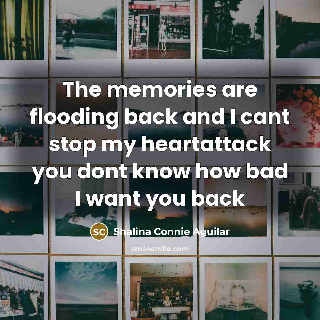 “The memories are flooding back and I cant stop my…” quote by Shalina Connie Aguilar