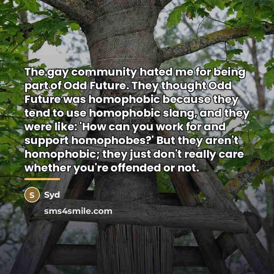 “The gay community hated me for being part of Odd…” quote by Syd