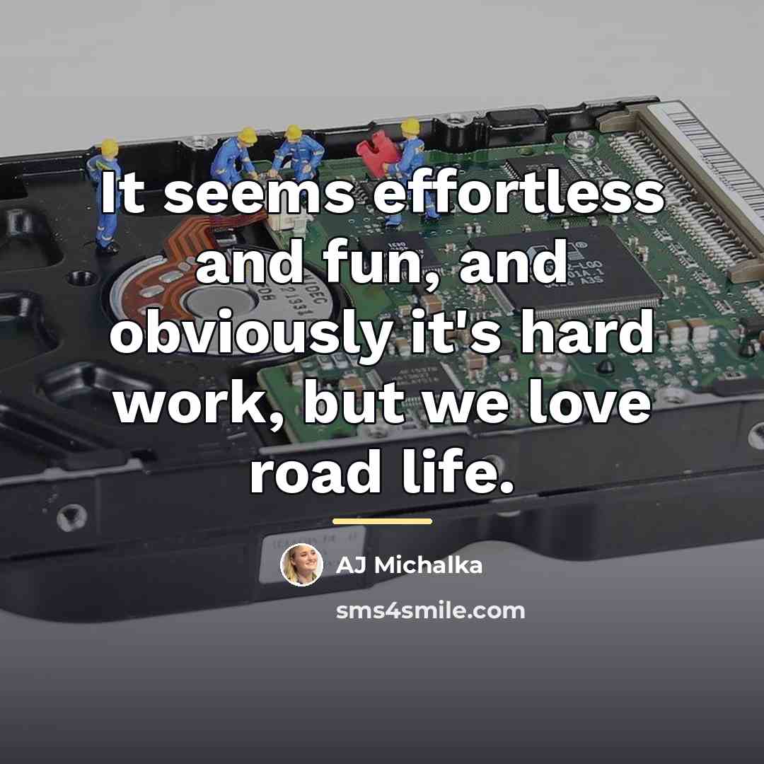 “It seems effortless and fun, and obviously it's hard work,…” quote by AJ Michalka