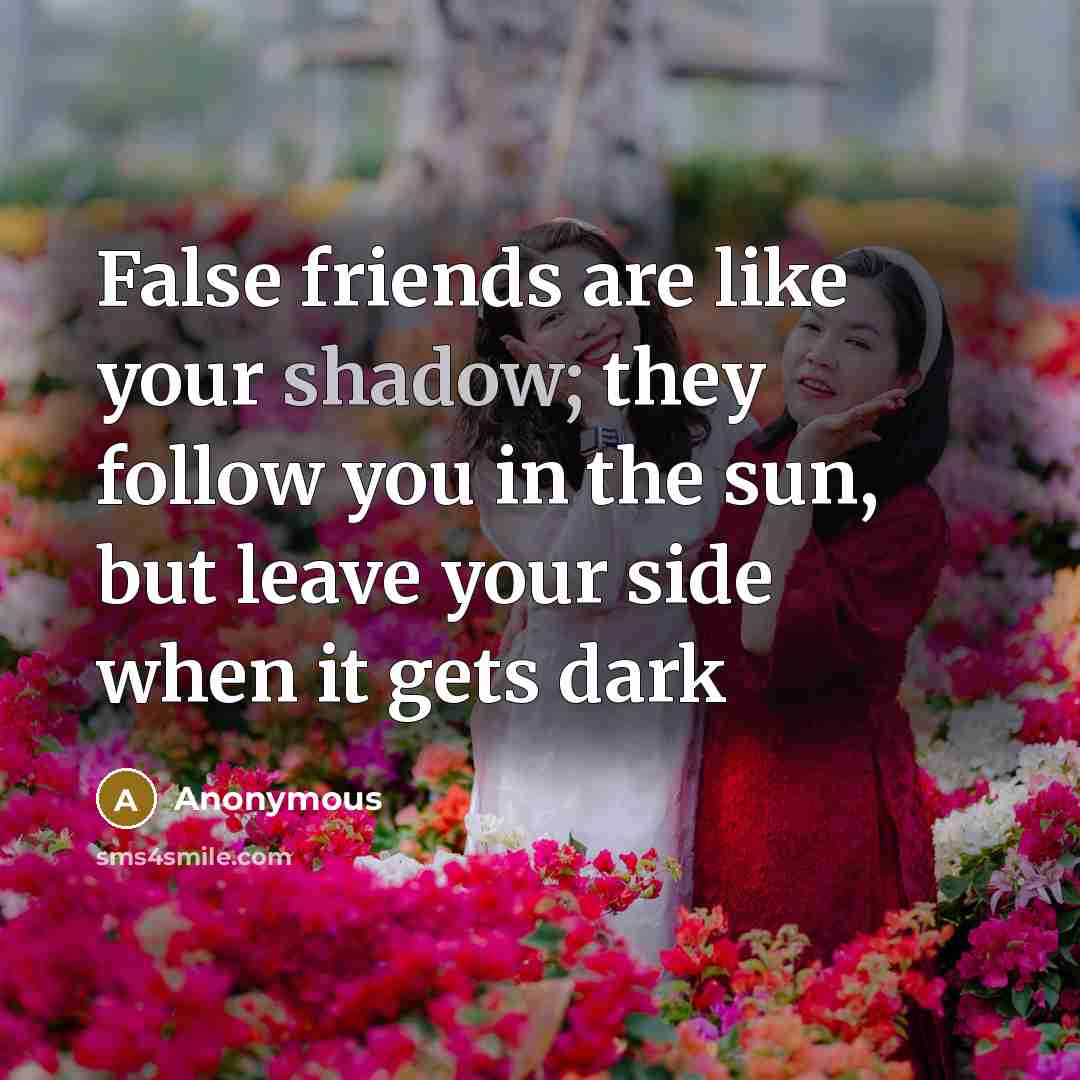 “False friends are like your shadow; they follow you in…” quote by Anonymous