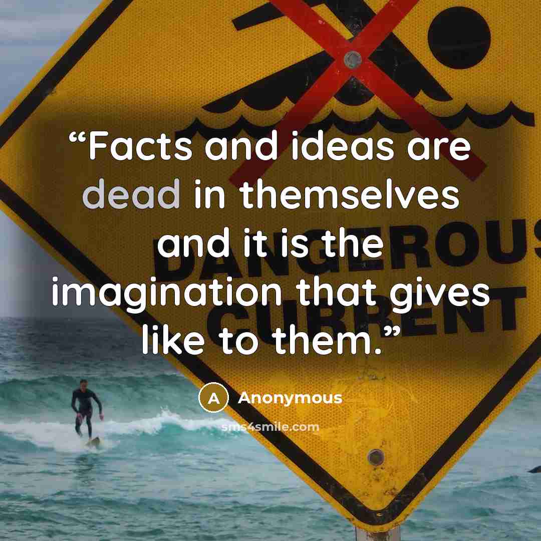 “Facts and ideas are dead in themselves and it is the imagination that gives like to them.” quote by Anonymous