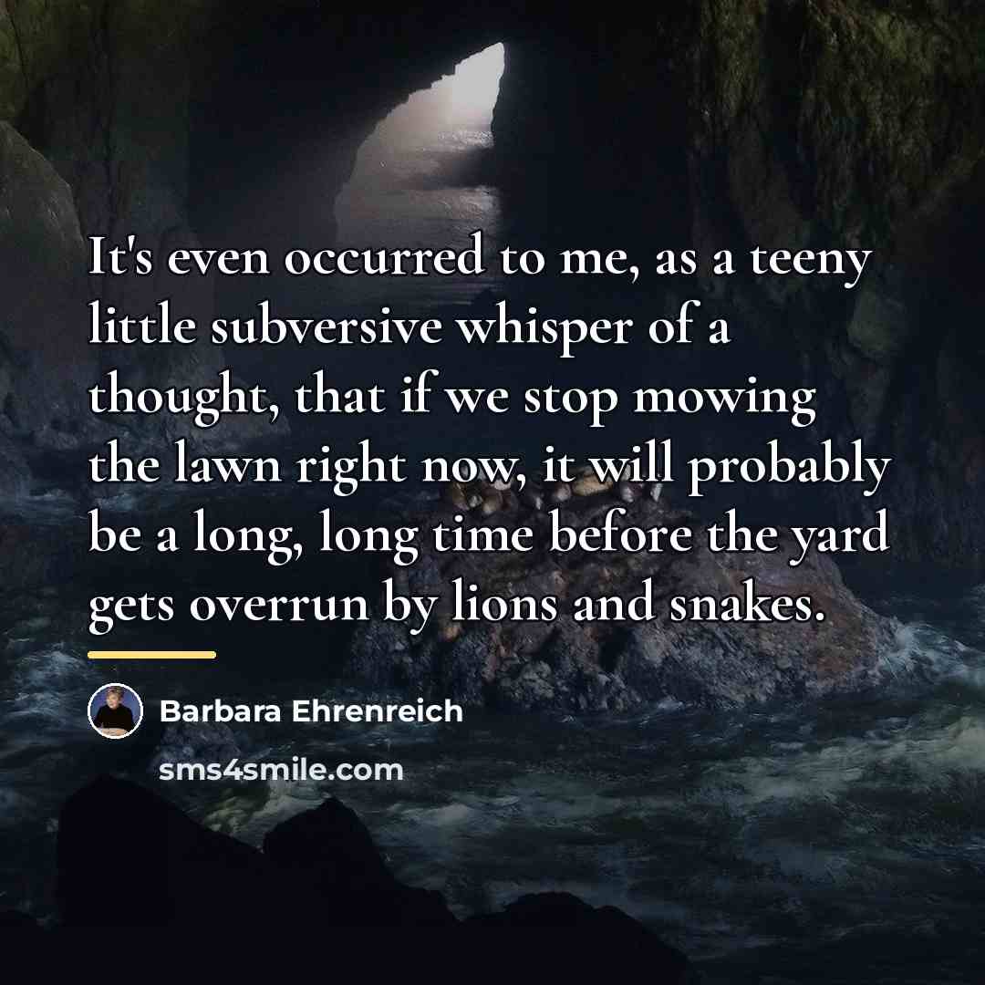 “It's even occurred to me, as a teeny little subversive…” quote by Barbara Ehrenreich