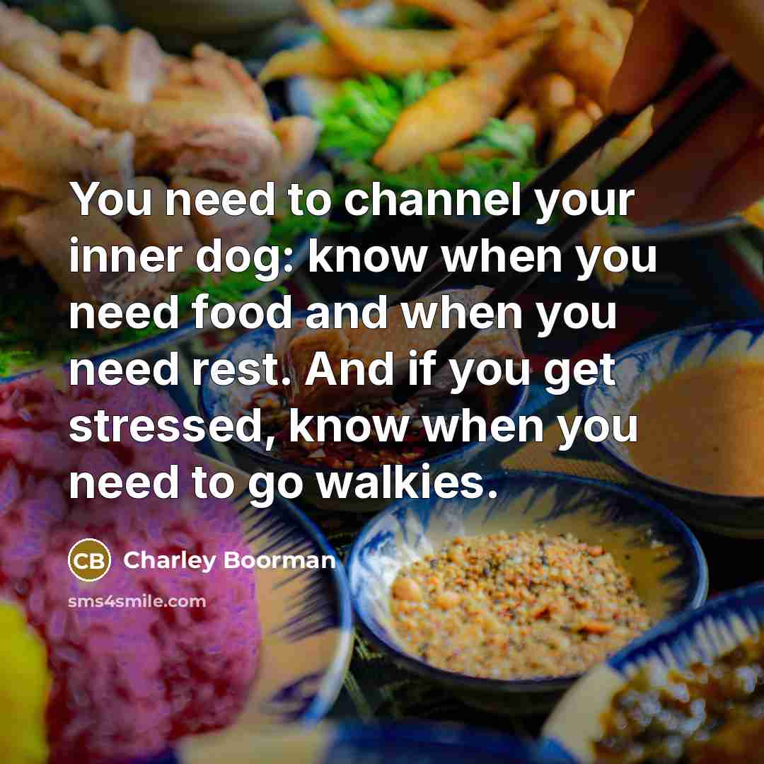 “You need to channel your inner dog: know when you…” quote by Charley Boorman