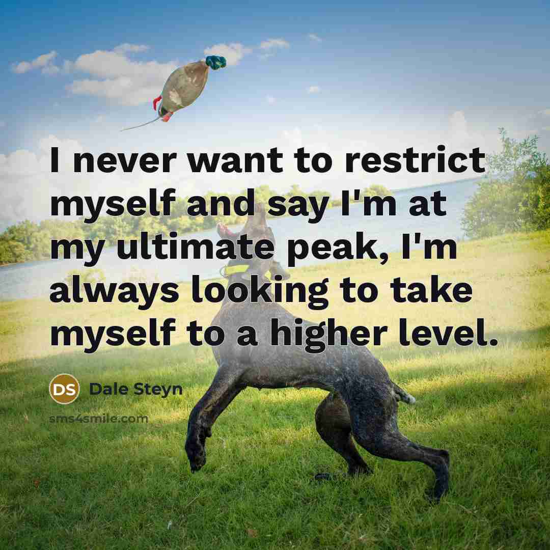 “I never want to restrict myself and say I'm at…” quote by Dale Steyn