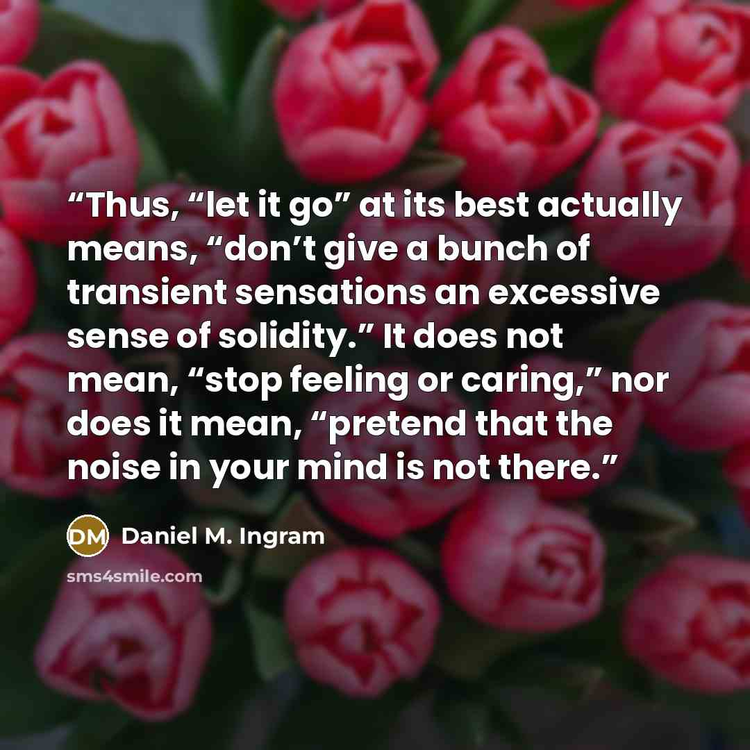 “Thus, “let it go” at its best actually means, “don’t give a bunch of transient sensations an excessive sense of solidity.” It does not mean, “stop feeling or caring,” nor does it mean, “pretend that the noise in your mind is not there.” quote by Daniel M. Ingram