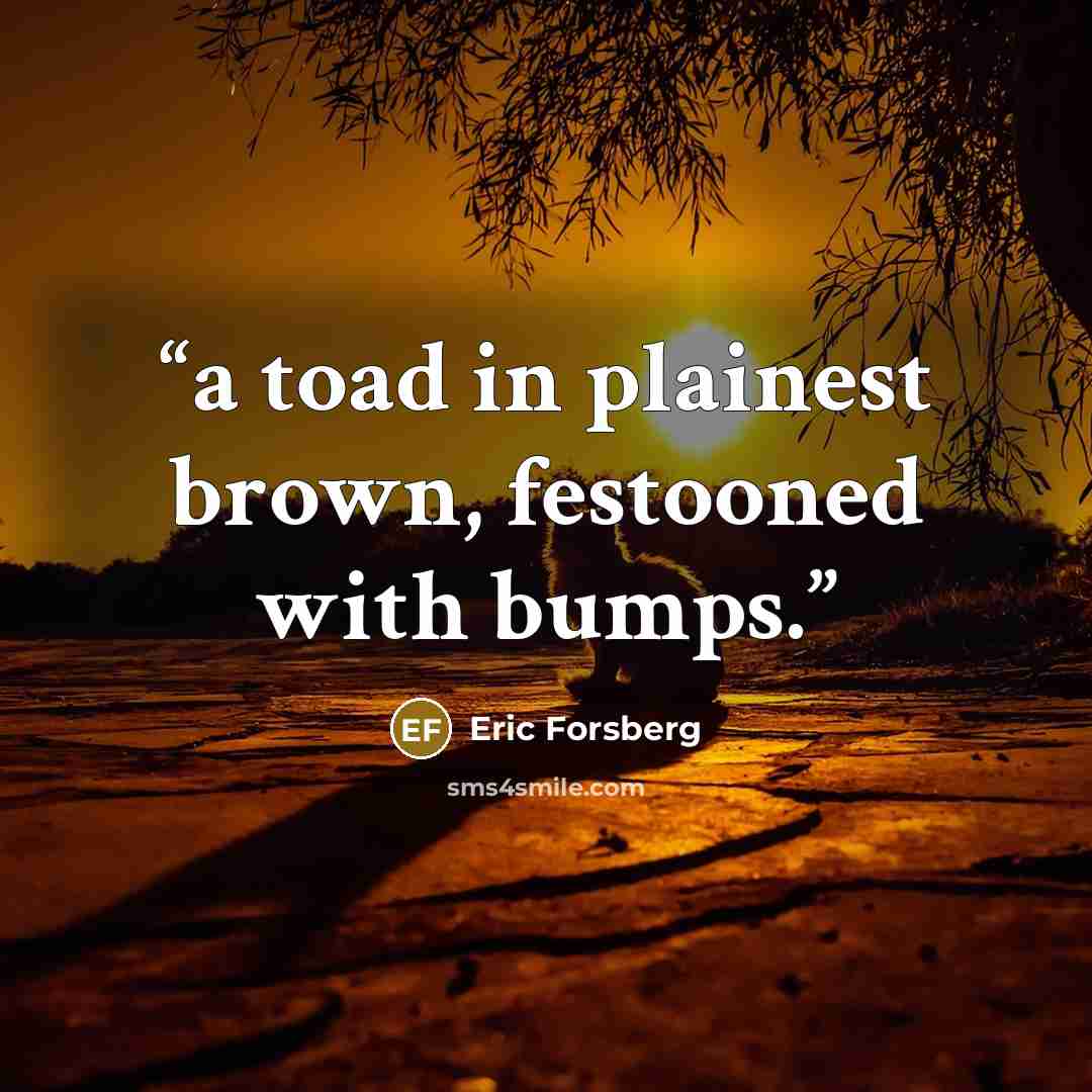 “a toad in plainest brown, festooned with bumps.” quote by Eric Forsberg