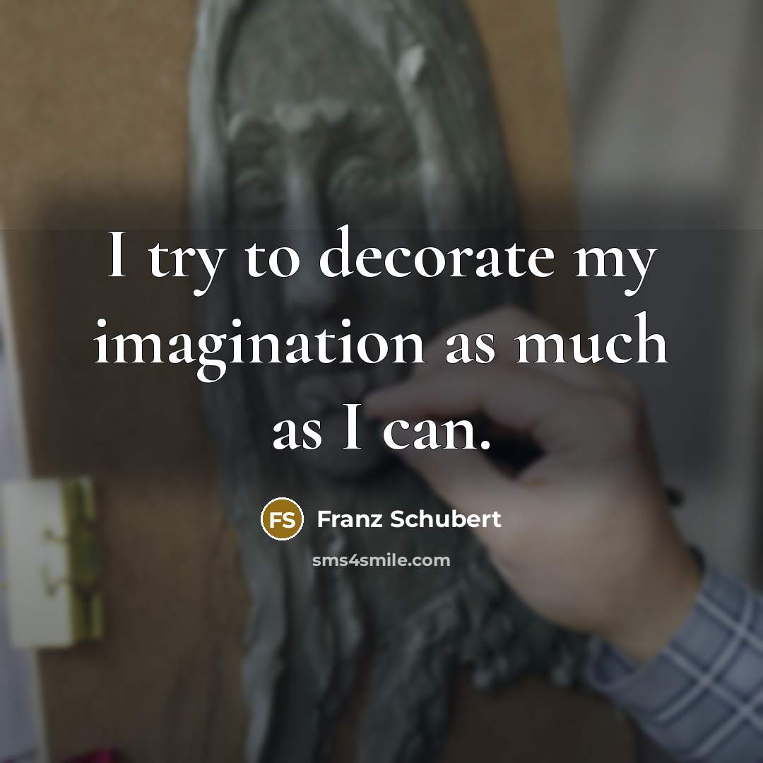 “I try to decorate my imagination as much as I…” quote by Franz Schubert
