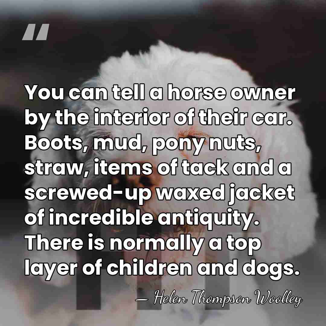 You can tell a horse owner by the interior of their car.&hellip; - Helen Thompson Woolley