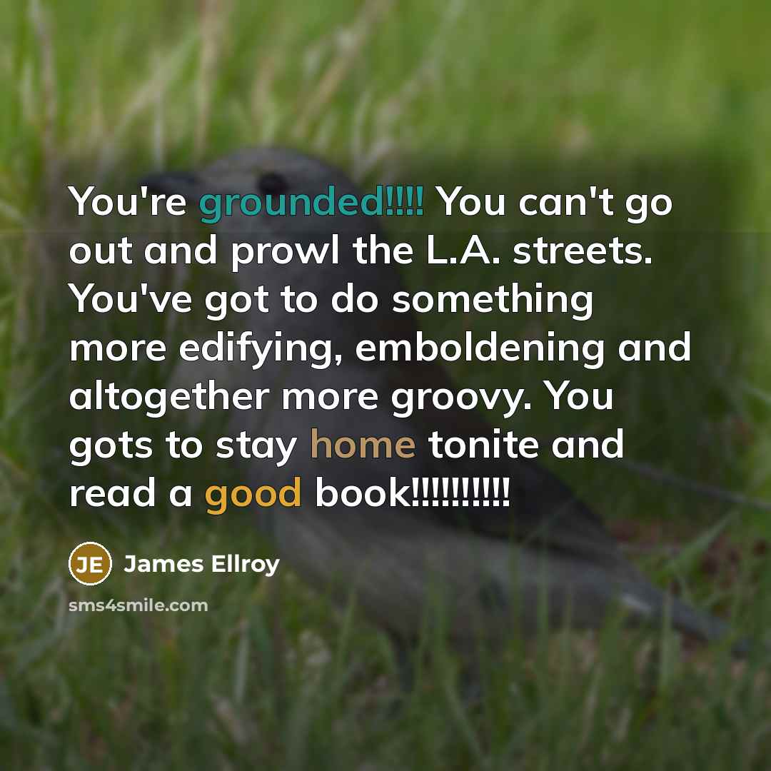 “You're grounded!!!! You can't go out and prowl the L.A.…” quote by James Ellroy