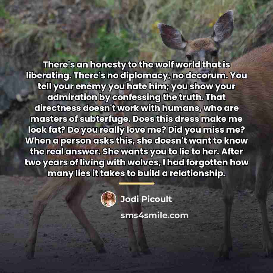 “There's an honesty to the wolf world that is liberating.…” quote by Jodi Picoult