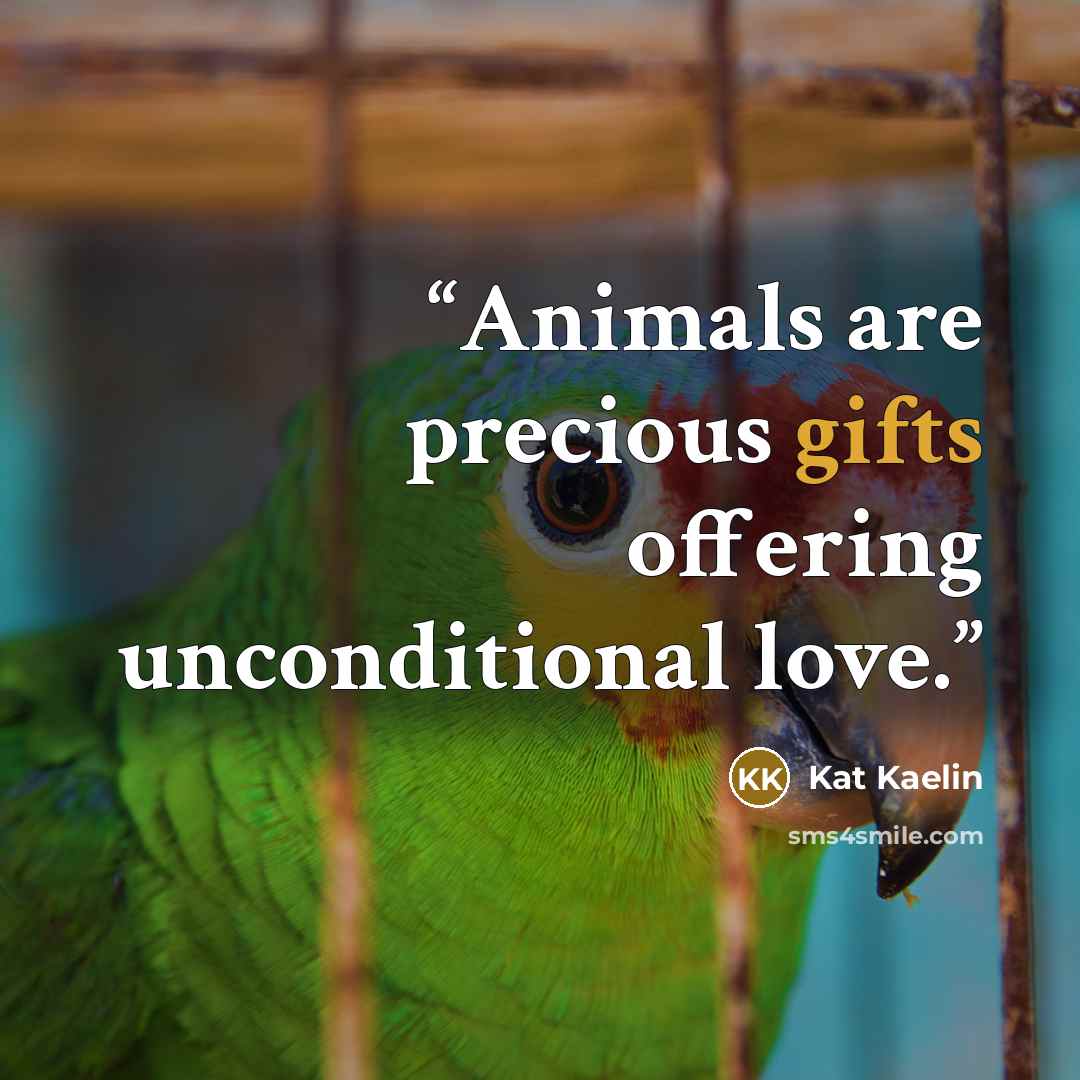 “Animals are precious gifts offering unconditional love.” quote by Kat Kaelin