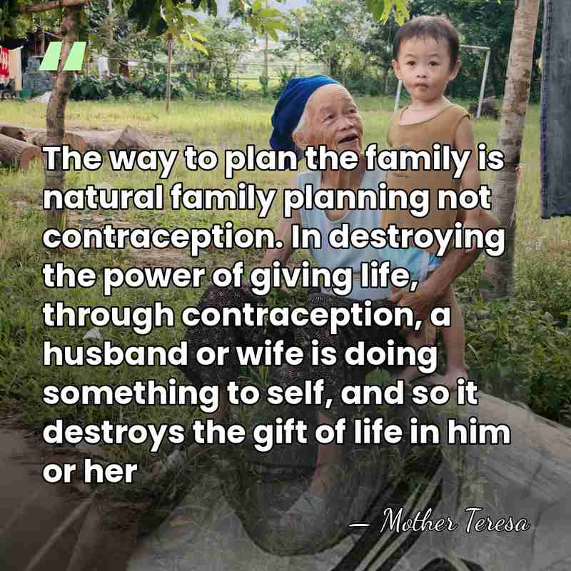 The way to plan the family is natural family planning not contraception.&hellip; - Mother Teresa