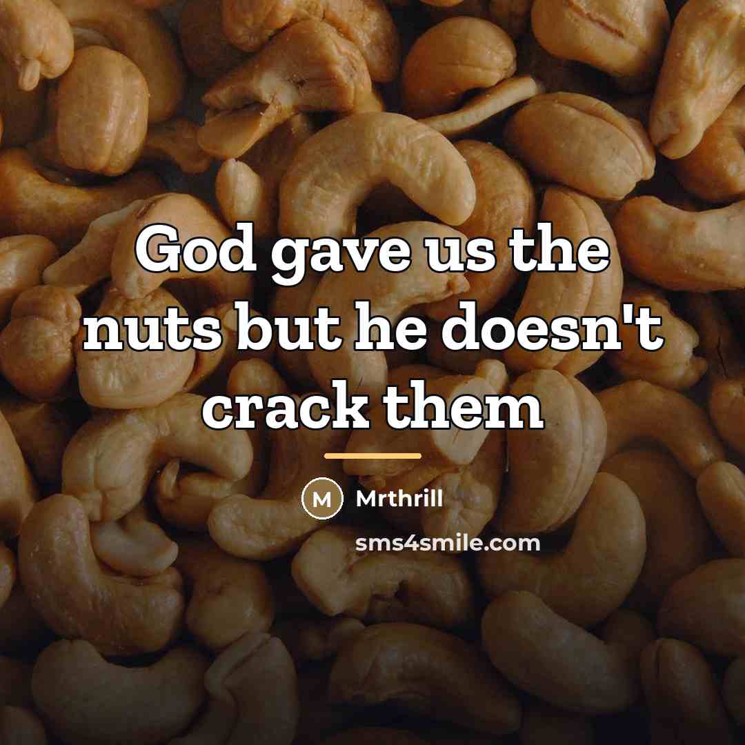 “God gave us the nuts but he doesn't crack them…” quote by Mrthrill