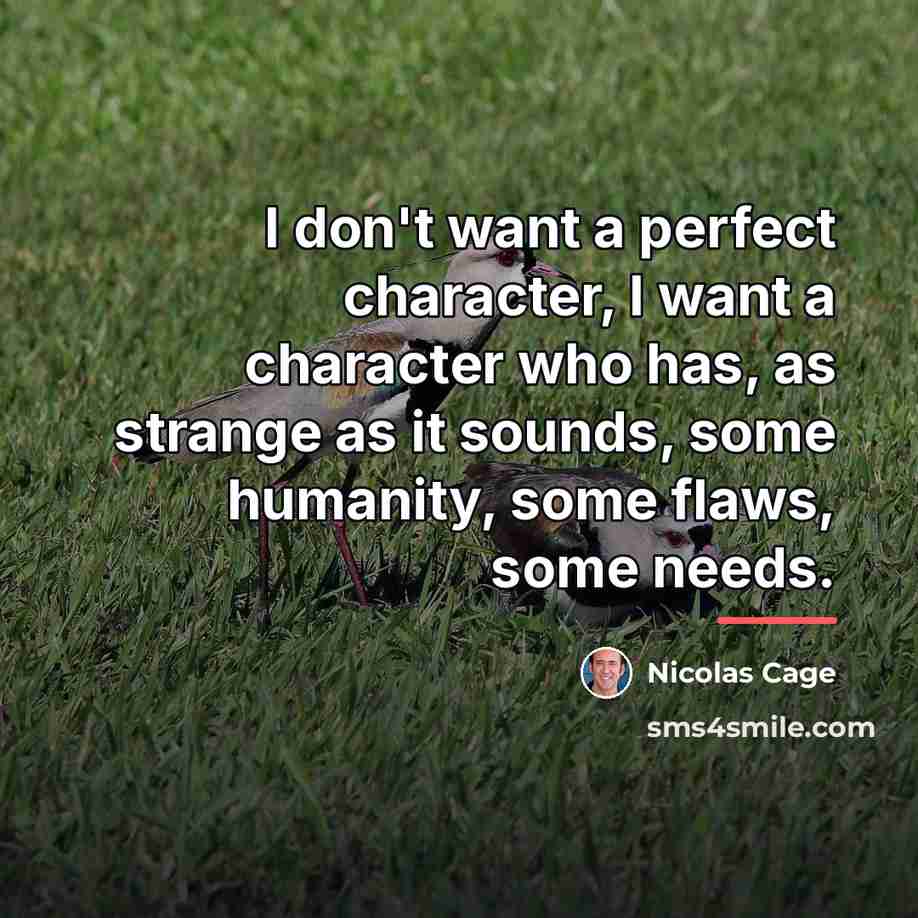 “I don't want a perfect character, I want a character…” quote by Nicolas Cage