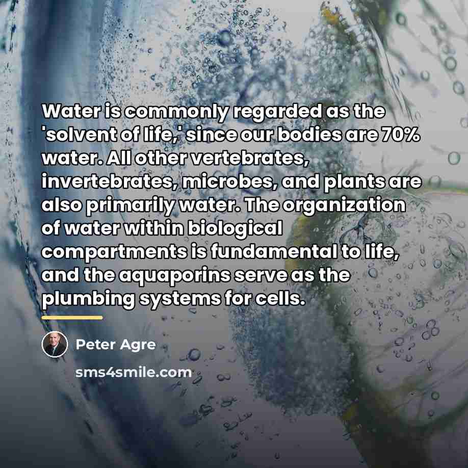 “Water is commonly regarded as the 'solvent of life,' since…” quote by Peter Agre