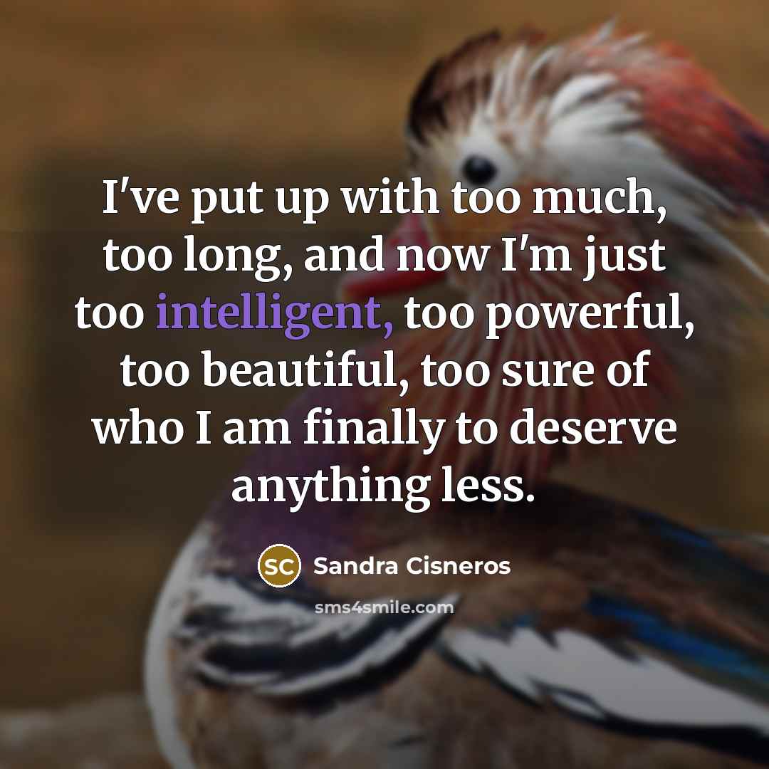 “I've put up with too much, too long, and now…” quote by Sandra Cisneros
