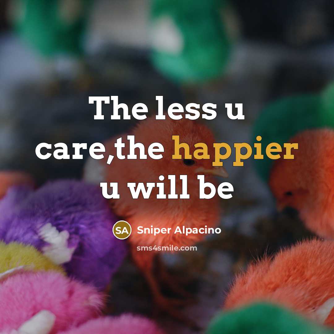 “The less u care,the happier u will be” quote by Sniper Alpacino