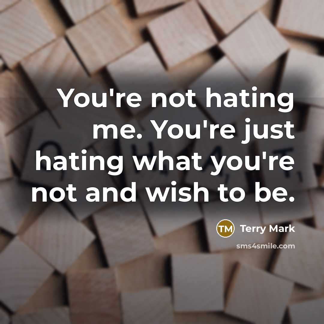 “You're not hating me. You're just hating what you're not…” quote by Terry Mark