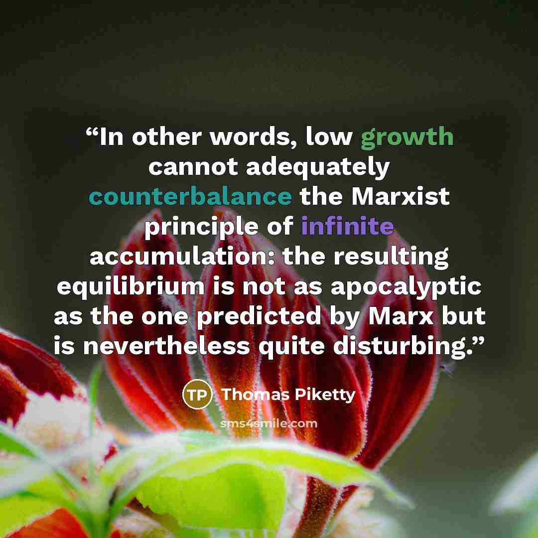 “In other words, low growth cannot adequately counterbalance the Marxist principle of infinite accumulation: the resulting equilibrium is not as apocalyptic as the one predicted by Marx but is nevertheless quite disturbing.” quote by Thomas Piketty