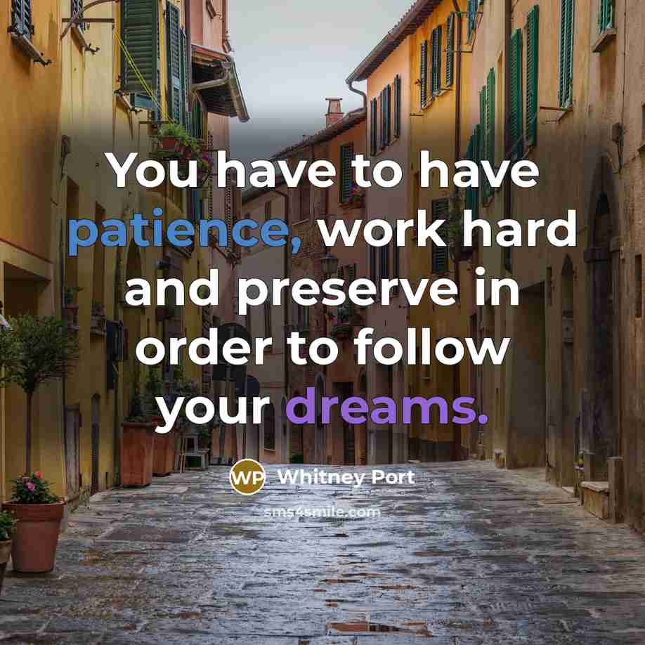 “You have to have patience, work hard and preserve in…” quote by Whitney Port