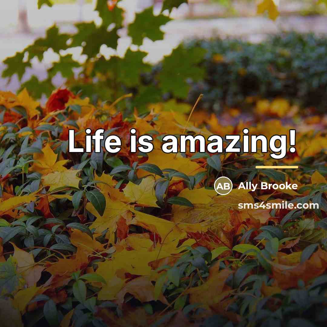 “Life is amazing!…” quote by Ally Brooke