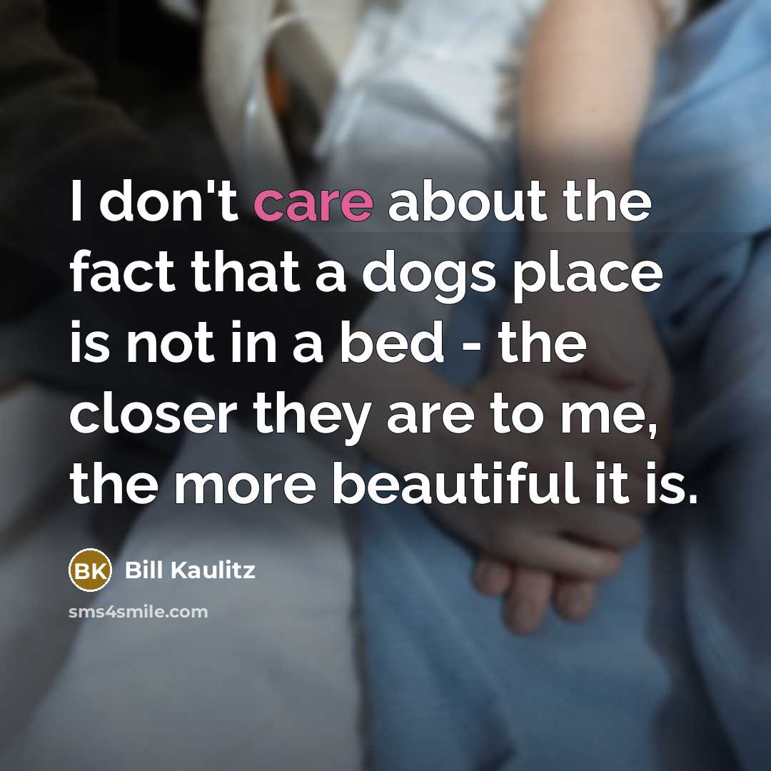 “I don't care about the fact that a dogs place…” quote by Bill Kaulitz