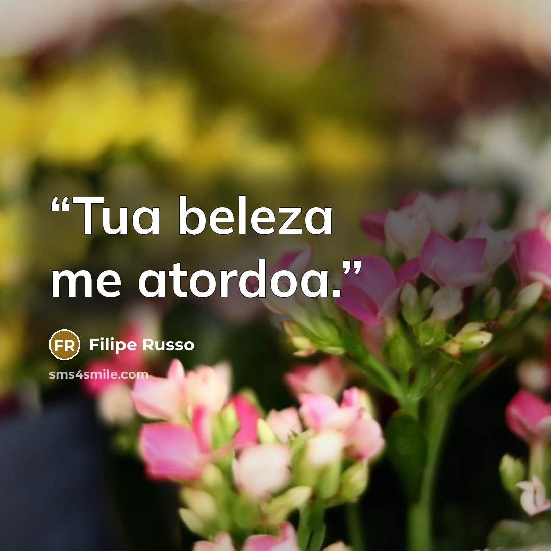 “Tua beleza me atordoa.” quote by Filipe Russo