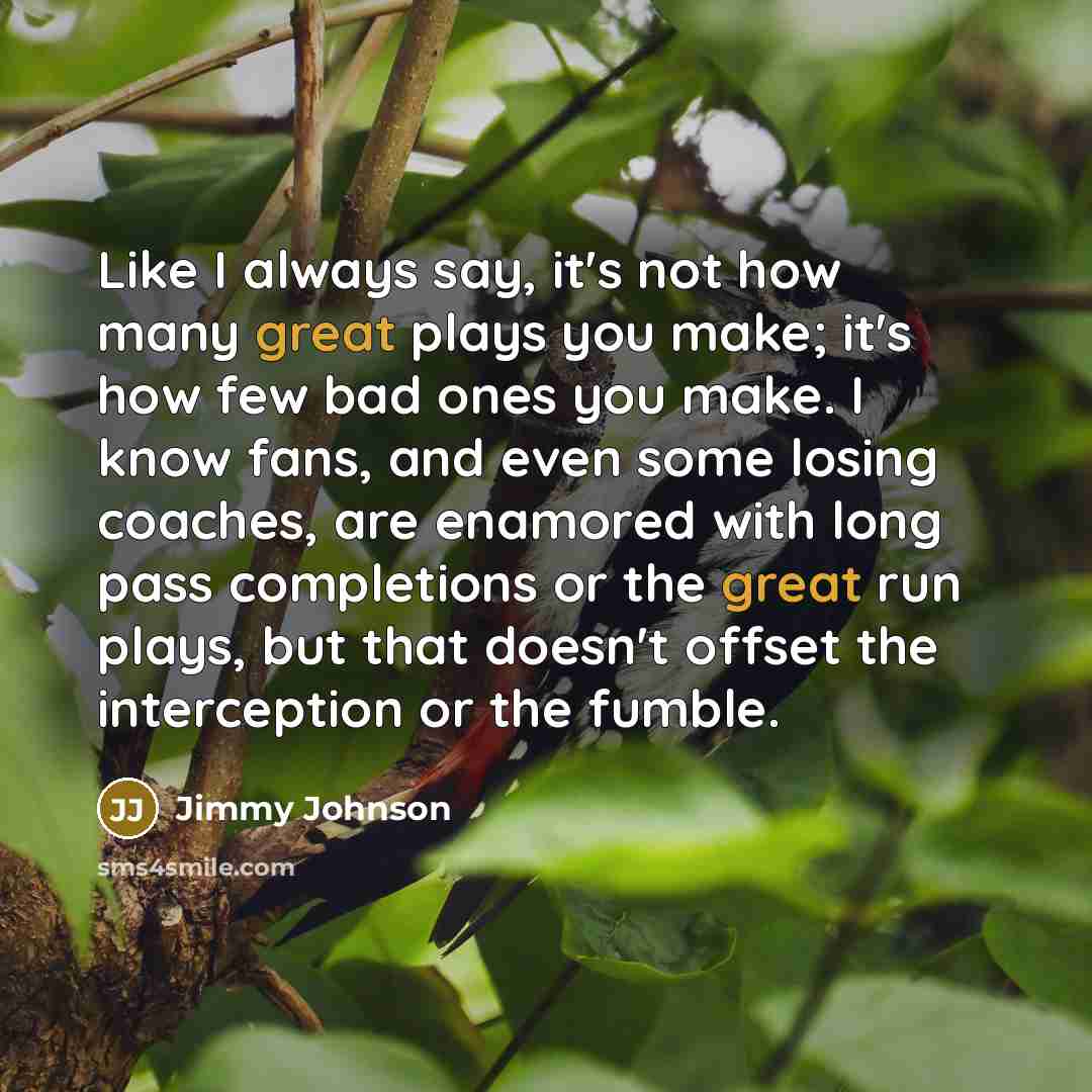 “Like I always say, it's not how many great plays…” quote by Jimmy Johnson
