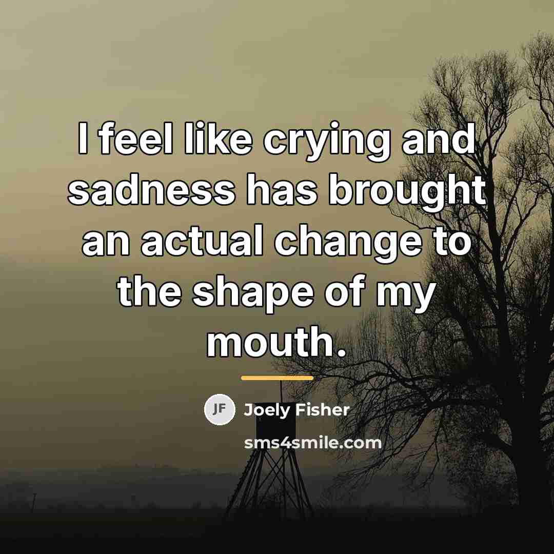 “I feel like crying and sadness has brought an actual…” quote by Joely Fisher