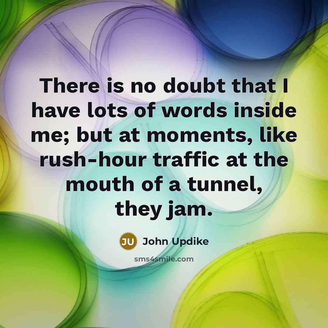 “There is no doubt that I have lots of words…” quote by John Updike