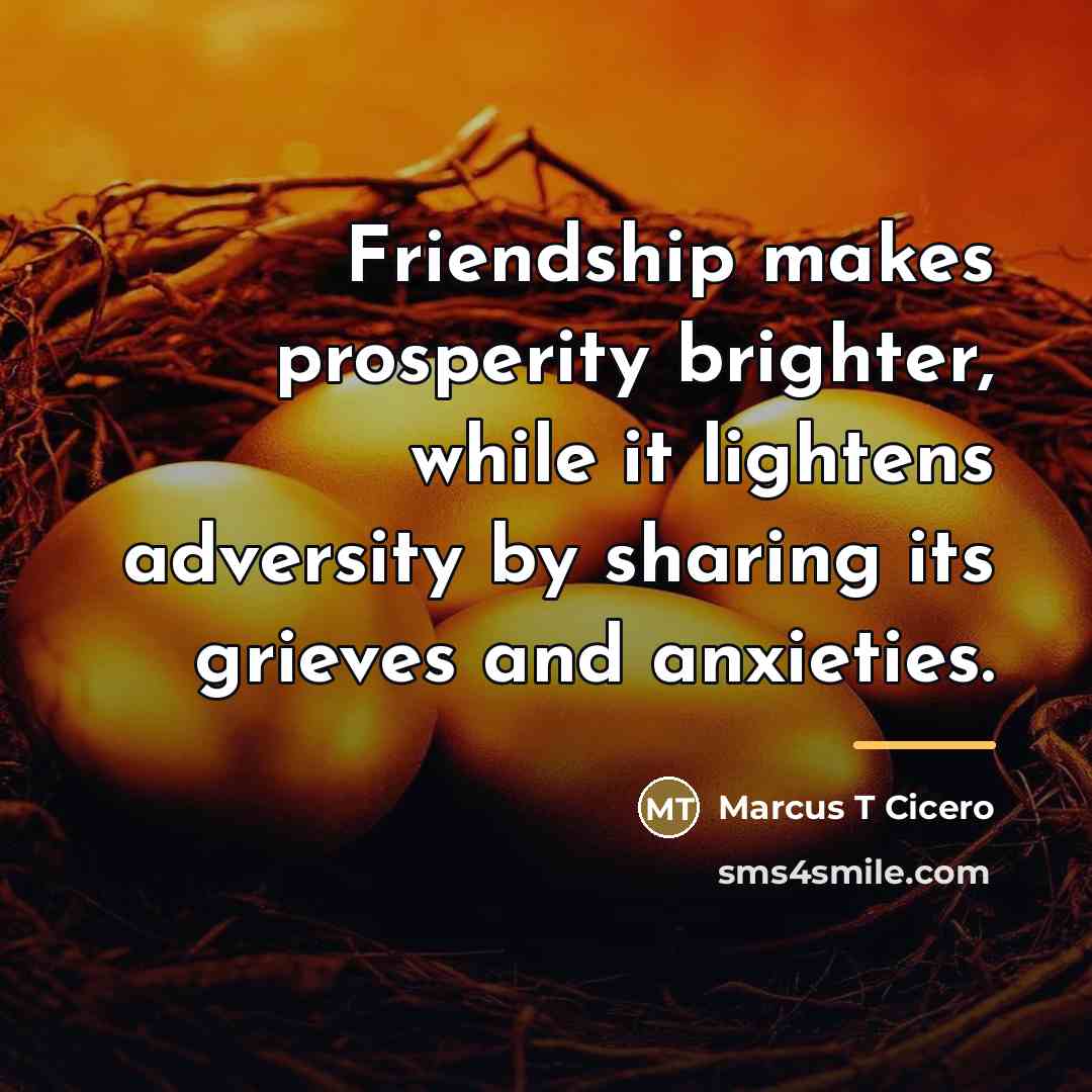 “Friendship makes prosperity brighter, while it lightens adversity by sharing…” quote by Anonymous
