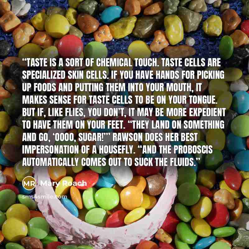 “Taste is a sort of chemical touch. Taste cells are specialized skin cells. If you have hands for picking up foods and putting them into your mouth, it makes sense for taste cells to be on your tongue. But if, like flies, you don’t, it may be more expedient to have them on your feet. “They land on…” quote by Mary Roach