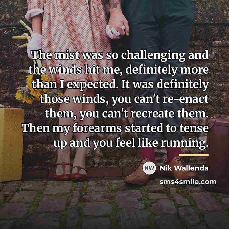 “The mist was so challenging and the winds hit me,…” quote by Nik Wallenda