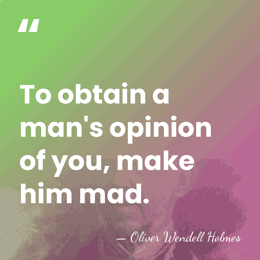 To obtain a man's opinion of you, make him mad. - Oliver Wendell Holmes