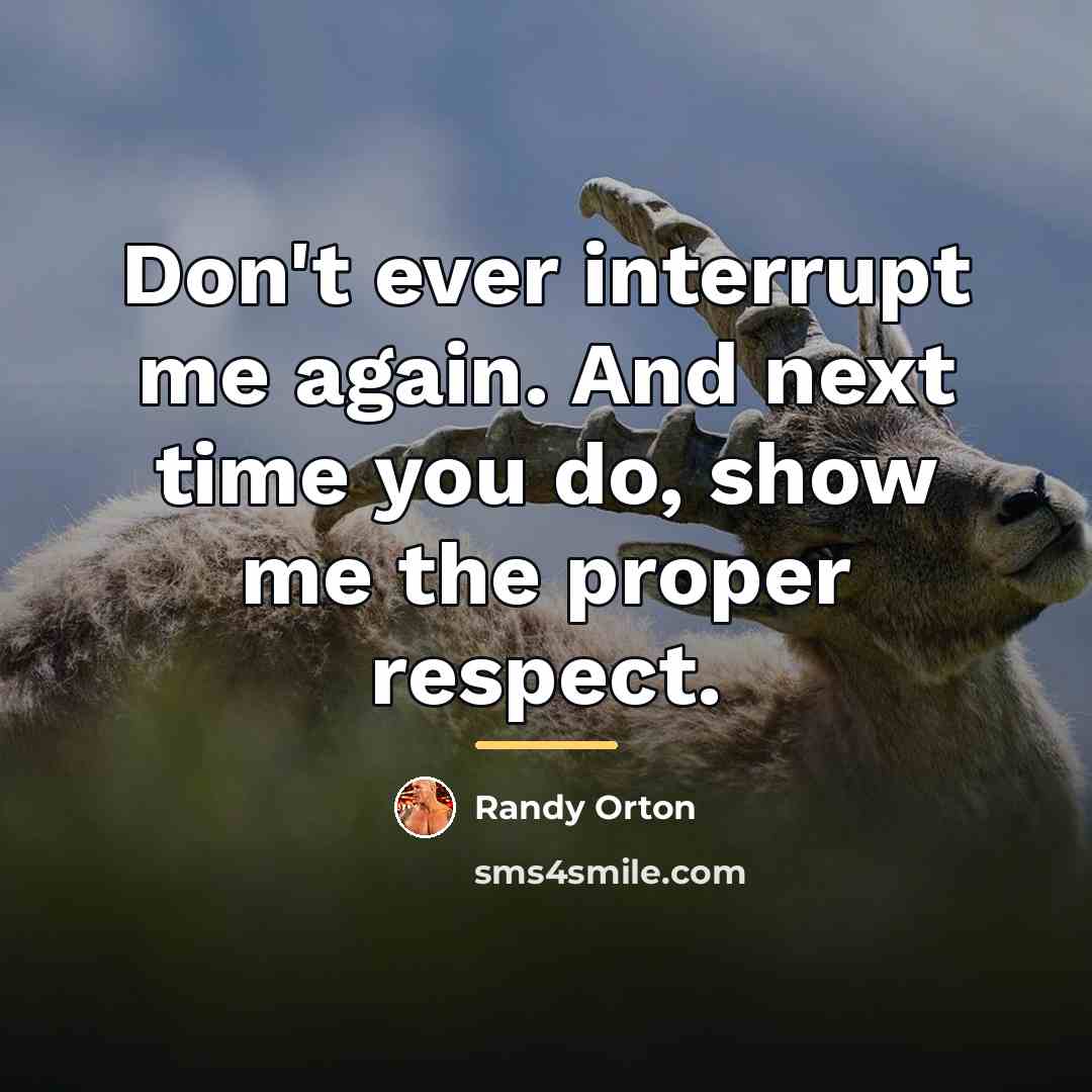 “Don't ever interrupt me again. And next time you do,…” quote by Randy Orton