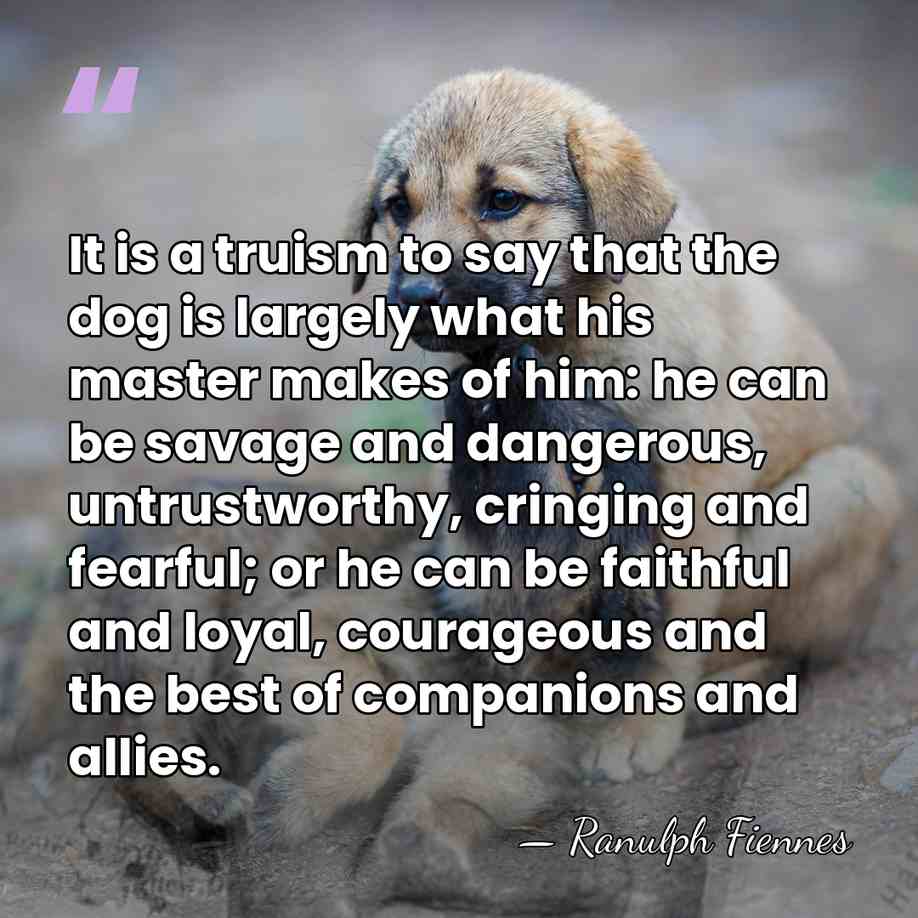 It is a truism to say that the dog is largely what&hellip; - Ranulph Fiennes