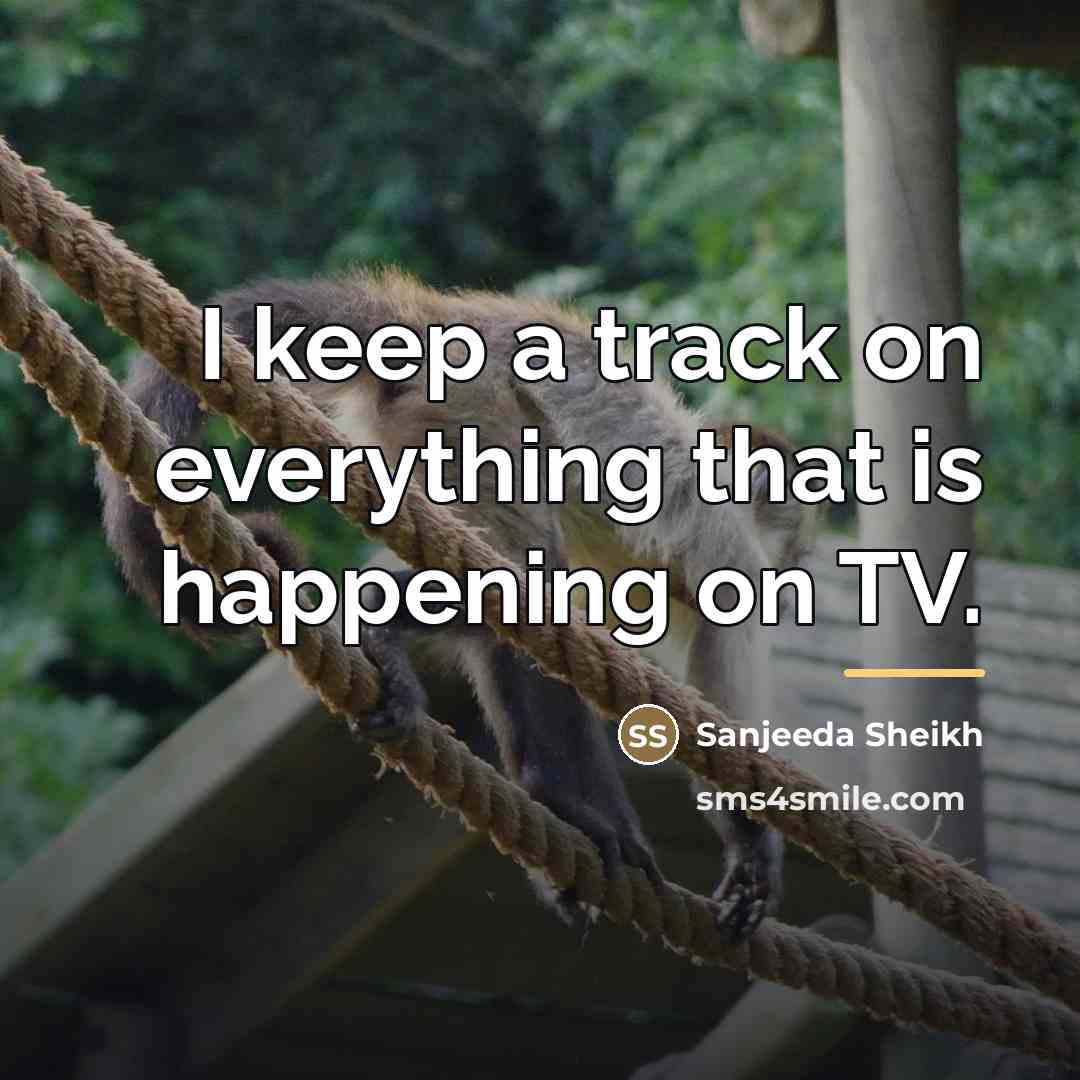 “I keep a track on everything that is happening on…” quote by Sanjeeda Sheikh