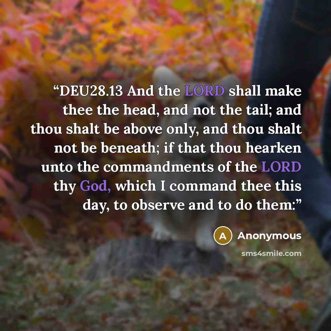 “DEU28.13 And the LORD shall make thee the head, and not the tail; and thou shalt be above only, and thou shalt not be beneath; if that thou hearken unto the commandments of the LORD thy God, which I command thee this day, to observe and to do them:” quote by Anonymous
