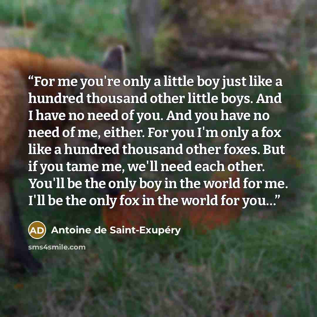 “For me you're only a little boy just like a hundred thousand other little boys. And I have no need of you. And you have no need of me, either. For you I'm only a fox like a hundred thousand other foxes. But if you tame me, we'll need each other. You'll be the only boy in the world for me. I'll be…” quote by Antoine de Saint-Exupéry