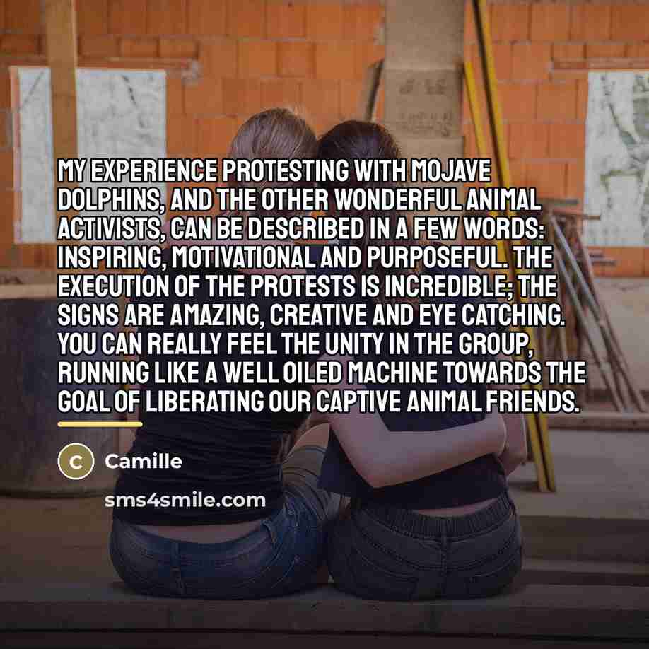 “My experience protesting with Mojave Dolphins, and the other wonderful…” quote by Camille