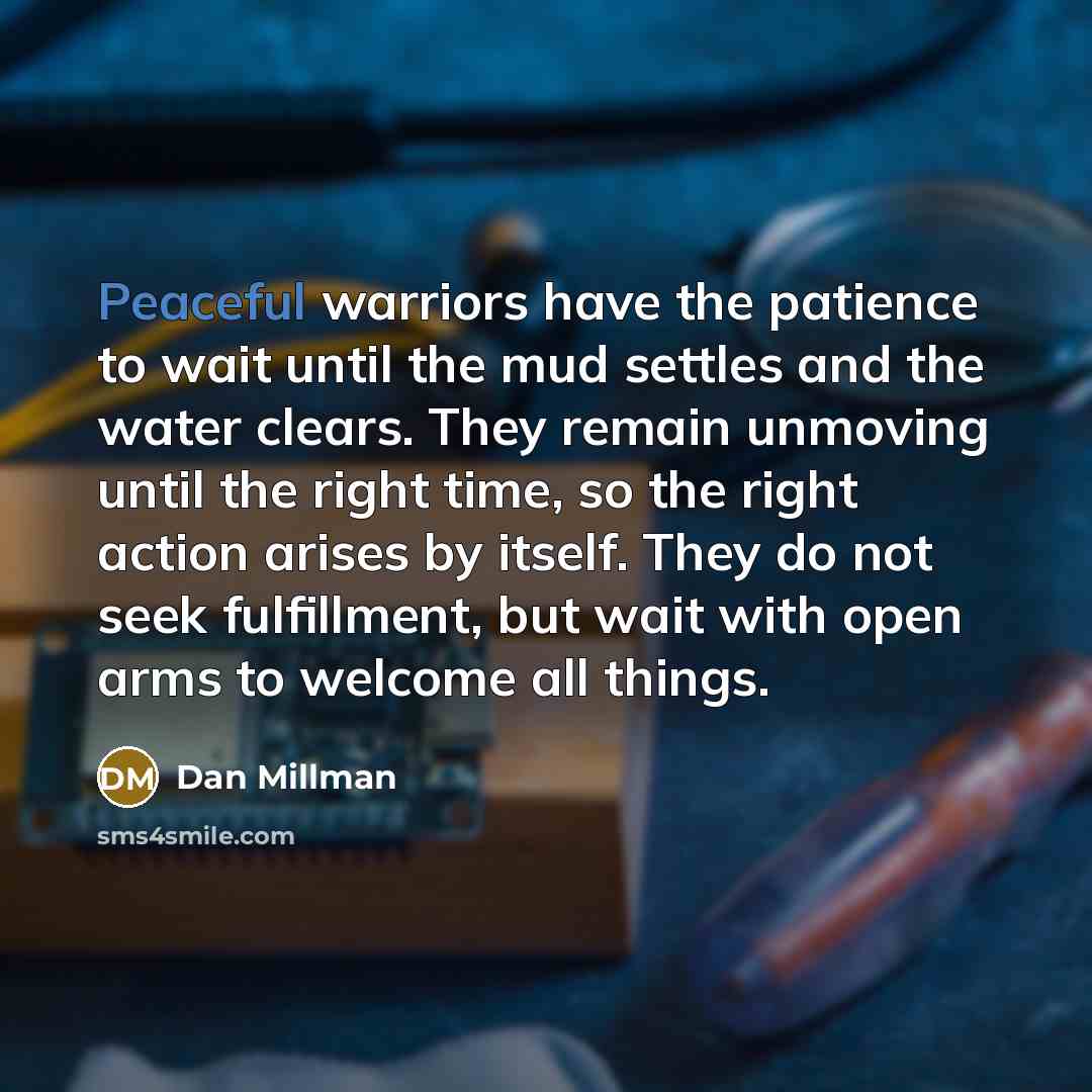“Peaceful warriors have the patience to wait until the mud…” quote by Dan Millman